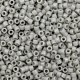 Miyuki delica Beads 11/0 - Duracoat opaque dyed fossil grey DB-2367